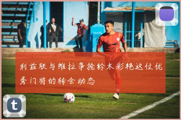 利兹联与维拉争抢铃木彩艳这位优秀门将的转会动态